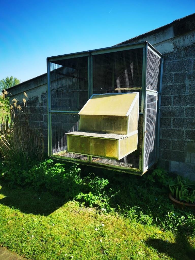 Volière met spoetnik, Animaux & Accessoires, Oiseaux | Pigeons