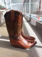 Cowboy laarzen heren 41 bruin, Vêtements | Hommes, Chaussures, Enlèvement ou Envoi, Brun