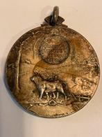 Oude medaille 1923, Ophalen of Verzenden