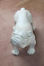 bulldog van polyester, Ophalen of Verzenden