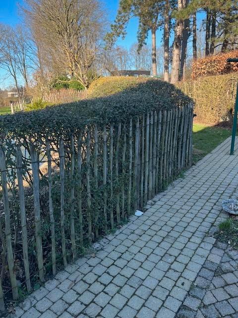houten afsluiting kastanjehout met palen en hek, Jardin & Terrasse, Écrans de jardin, Utilisé, Bois, 150 à 200 cm, Enlèvement