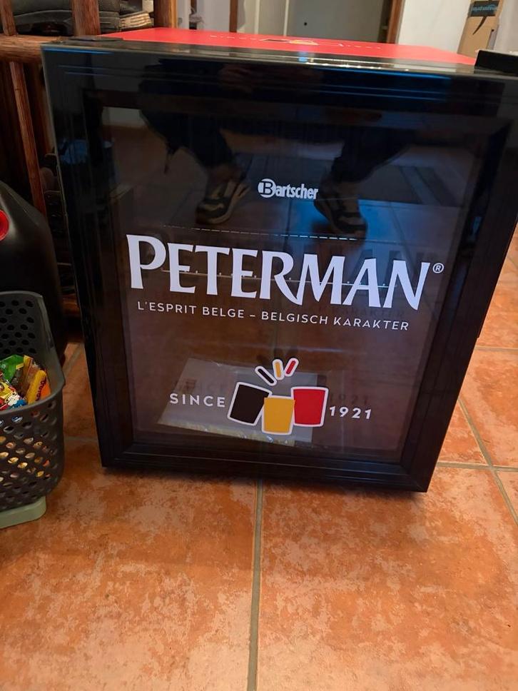 Mini Réfrigérateur frigo Peterman 46L, Elektronische apparatuur, Koelkasten en IJskasten, Nieuw, Ophalen