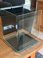 Dennerle Nano Cube Aquarium 20 liter, Dieren en Toebehoren, Reptielen en Amfibieën | Toebehoren, Ophalen, Zo goed als nieuw, Terrarium of Paludarium