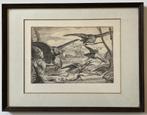 Ets van Peter Boel met valken, Antiek en Kunst, Kunst | Etsen en Gravures, Ophalen