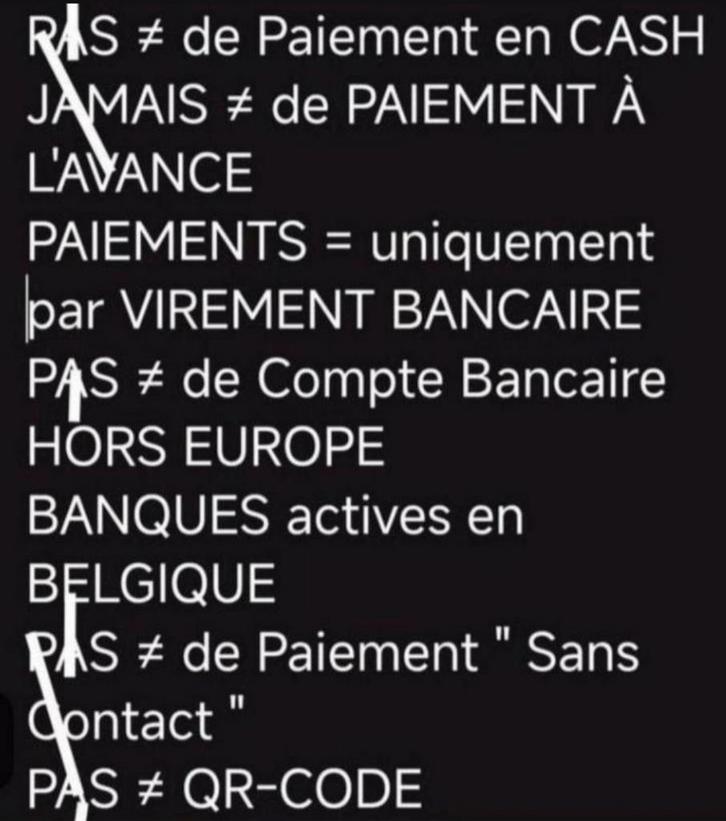 4 FLASHES 📸 ⚡Pro MULTIBLITZ & MANFROTTO etc, TV, Hi-fi & Vidéo, Photo | Appareils professionnels, Utilisé, Enlèvement