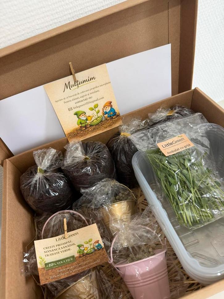 Kit de culture de micro-pousses de pois, Tuin en Terras, Kweekspullen, Nieuw, Kweektent, Ophalen of Verzenden