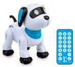 Interactieve speelgoedhond met afstandsbediening, Ophalen, Zo goed als nieuw