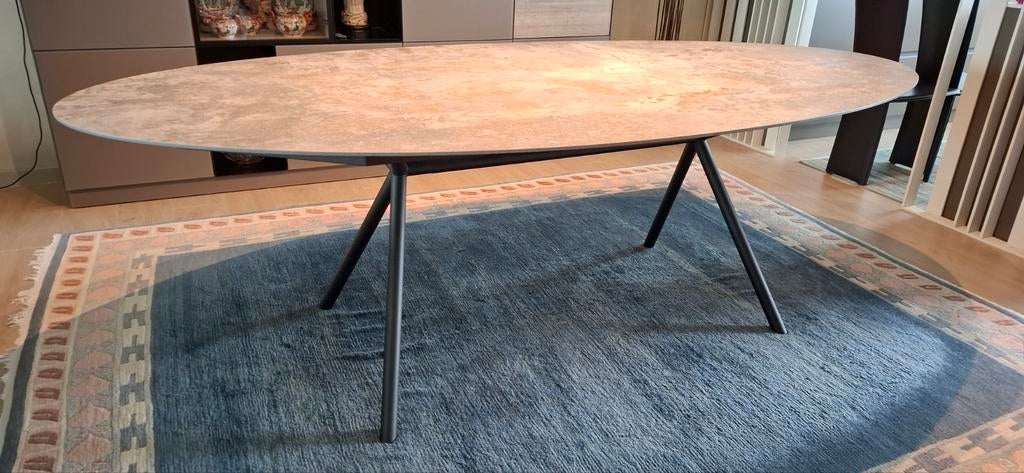 Table de salle à manger design de Bert Plantagie avec platea, Maison & Meubles, Tables | Tables à manger, Enlèvement