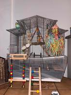 Vogelkooi, Dieren en Toebehoren, Ophalen, Vogelkooi