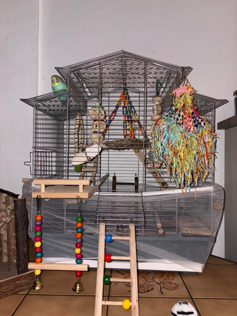 Cage à oiseaux, Animaux & Accessoires, Oiseaux | Cages & Volières, Cage à oiseaux, Enlèvement