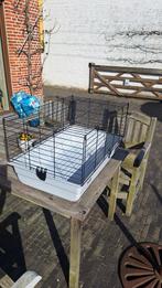 Dierenkooi, Dieren en Toebehoren, Ophalen