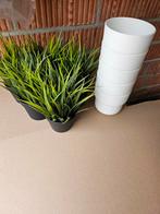 Sierplantjes met bijpassende sierpotjes, Huis en Inrichting, Woonaccessoires | Kunstplanten en Kunstbloemen, Ophalen of Verzenden