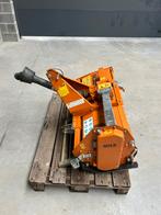 Berti aardbei 1m, Ophalen of Verzenden, Overige, Zaaien, Planten of Poten