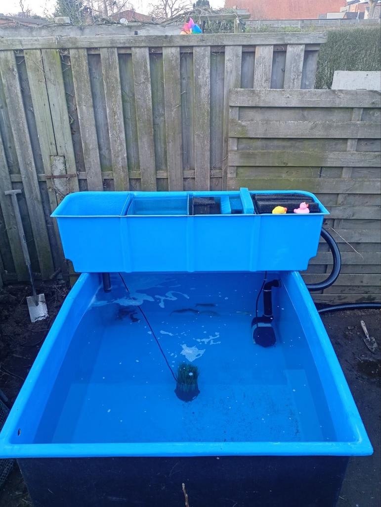 Quarantaine bak koi karper, Tuin en Terras, Vijvers, Ophalen