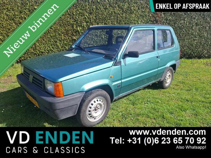 Fiat Panda 900 Young, Autos, Oldtimers & Ancêtres, Entreprise, Achat, Alarme, Interruption de démarrage, Fiat, Essence, Hatchback