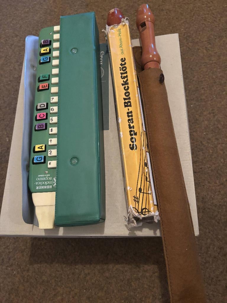 melodica en blokfluiten, Muziek en Instrumenten, Ophalen