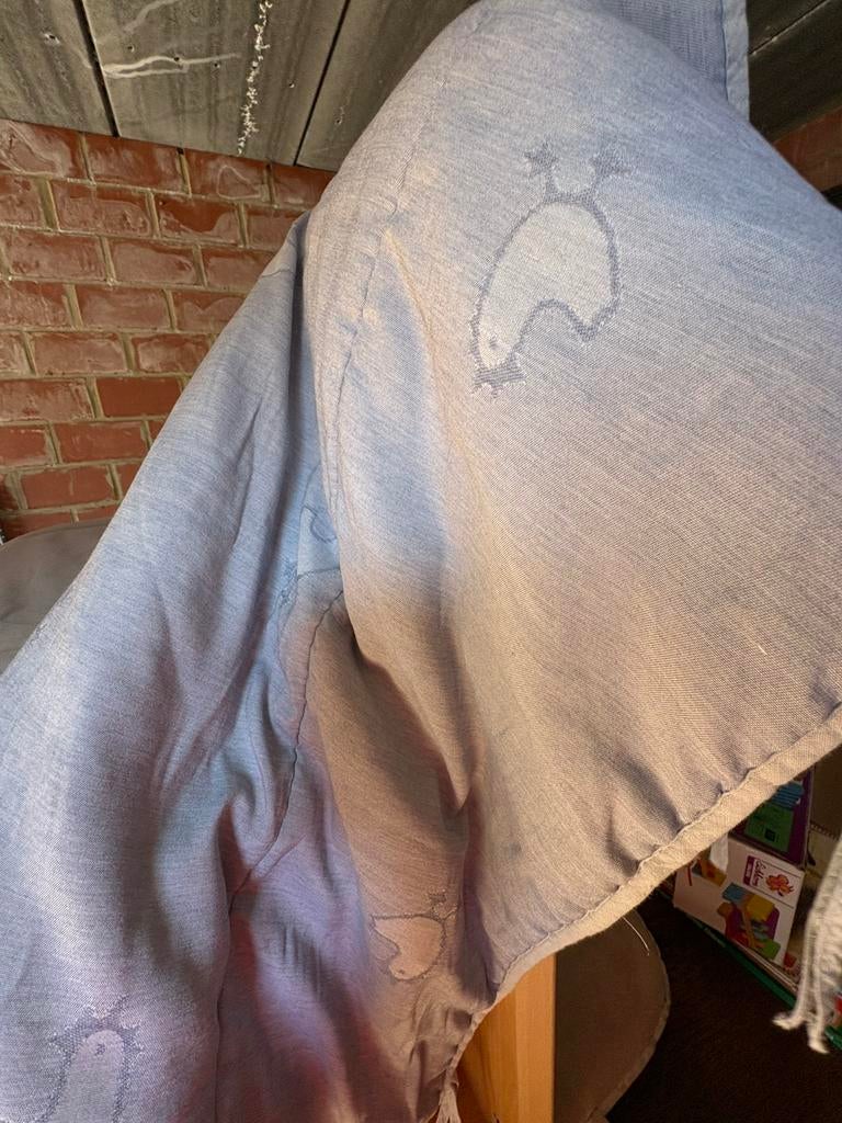 Pericles parklegger met rand, Ophalen, Zo goed als nieuw