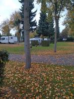 Cavalier 420 de luxe Antares ambiance, Caravans en Kamperen, Caravans, 60 kg, Treinzit, Particulier, 5 tot 6 meter