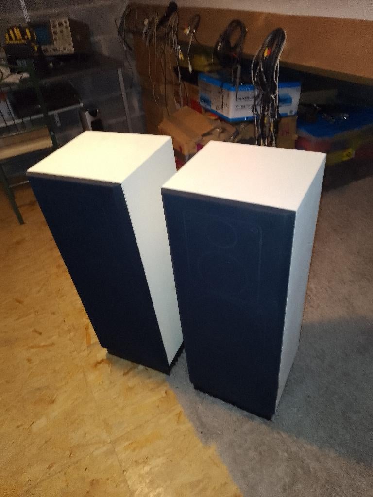 plaire d'enceintes 100watts continu rms, Audio, Tv en Foto, Luidsprekerboxen, Gebruikt, Front, Rear of Stereo speakers, 60 tot 120 watt