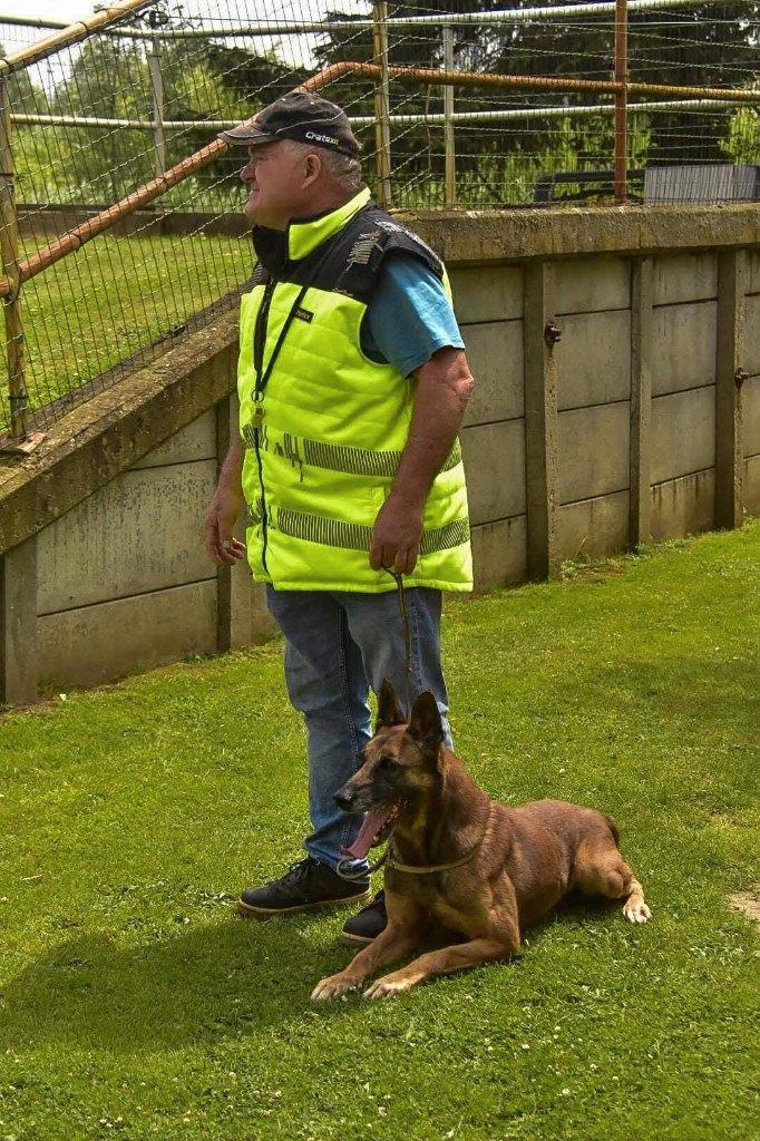 Mechelse herder afgerichte bewakingshond & verdedigingshond, Animaux & Accessoires, Chiens | Bergers & Bouviers, Chien (mâle)