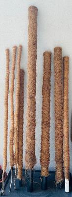 Kokos plantenstokken, Tuin en Terras, Ophalen