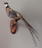 Prachtige opgezette fazant, Ophalen, Zo goed als nieuw, Opgezet dier