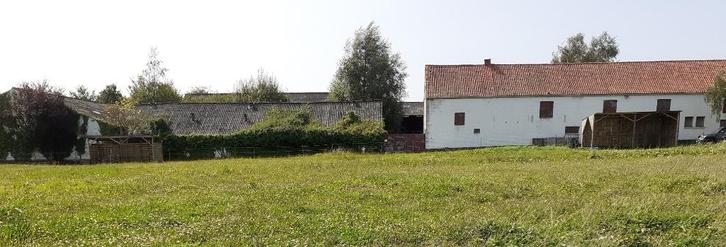 Weide te huur, Dieren en Toebehoren, Stalling en Weidegang, Weidegang, 2 of 3 paarden of pony's