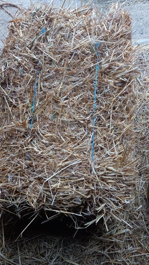 Stro in kleine pakken, Zakelijke goederen, Ophalen