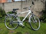 Herenfiets, rek voor 3 fietsen, Fietsen en Brommers, Ophalen, Gebruikt, Minder dan 10 versnellingen, 28 inch