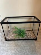 Aquarium, Animaux & Accessoires, Enlèvement ou Envoi, Comme neuf