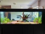 Aquarium 200Lx60Bx70H, Ophalen, Zo goed als nieuw