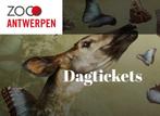 ZOO Antwerpen Tickets, Tickets en Kaartjes, Ticket of Toegangskaart