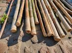 bamboo stokken, Tuin en Terras, Ophalen, Nieuw