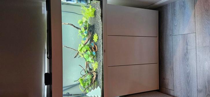 Juwel rio 180 aquarium, Dieren en Toebehoren, Vissen | Aquariumvissen