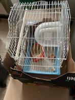 CAGE CANARIS, Animaux & Accessoires, Enlèvement, Comme neuf