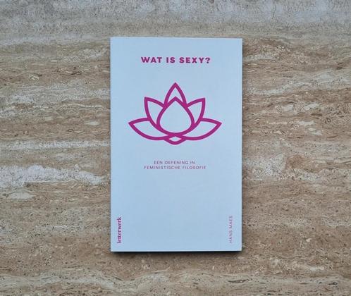 Wat is sexy? Oefening in feministische filosofie, Hans Maes, Boeken, Filosofie, Nieuw, Ophalen of Verzenden