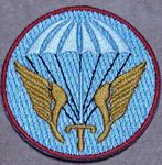 Insigne de parachutiste de défense aérienne breveté VVE supé, Collections, Emblème ou Badge, Armée de l'air, Enlèvement ou Envoi
