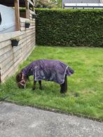 Verzorgpony, Ophalen