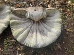 Twee fonteinen in de vorm van een grote schelp, Tuin en Terras, Ophalen of Verzenden, Gebruikt