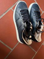 Sneakers Fratelli Rosetti zomercollectie 2025, Kleding | Dames, Schoenen, Ophalen of Verzenden, Sneakers