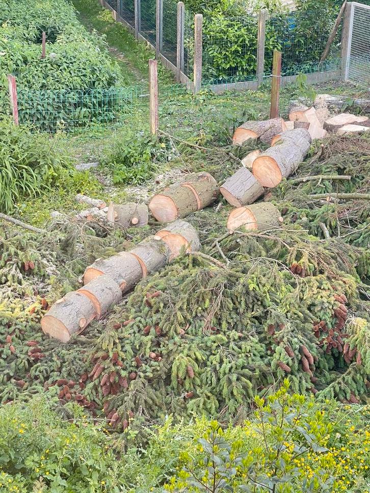 Bois à donner, Tuin en Terras, Brandhout, Takken, Ophalen