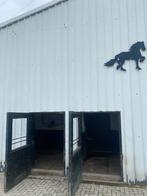 Stal te huur, Dieren en Toebehoren, Stalling en Weidegang, Weidegang, 1 paard of pony
