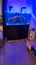 Aquarium Red Sea 425XL Recifal Marin, Dieren en Toebehoren, Ophalen of Verzenden, Zo goed als nieuw