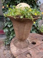 ŒUF D'AUTRUCHE 16 CM SUR 12 CM, Enlèvement ou Envoi, Coquillage(s)