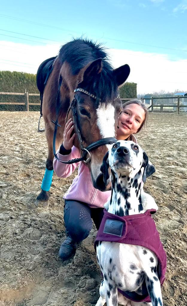 Joli poney ️, Animaux & Accessoires, Poneys, Jument