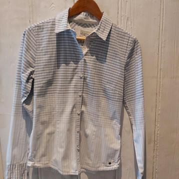 Tom Tailor getailleerd hemdje; maat small, ANDERE, Enlèvement ou Envoi, Taille 36 (S), Comme neuf