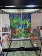 exo terra   45x45 hauteur 60  avec lampe exo terra, Dieren en Toebehoren