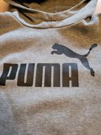 hoodie 12j puma, Kinderen en Baby's, Jongen of Meisje, Trui of Vest, Puma, Ophalen of Verzenden