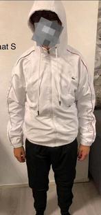 Lacoste trainingspak, Kleding | Heren, Ophalen of Verzenden, Nieuw