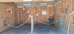 Pensionstalling, Dieren en Toebehoren, Stalling en Weidegang, Weidegang, 2 of 3 paarden of pony's